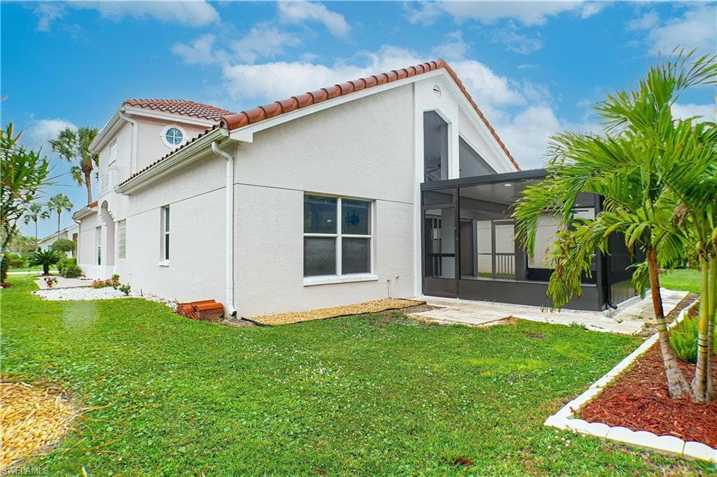 160 lady palm DR-19