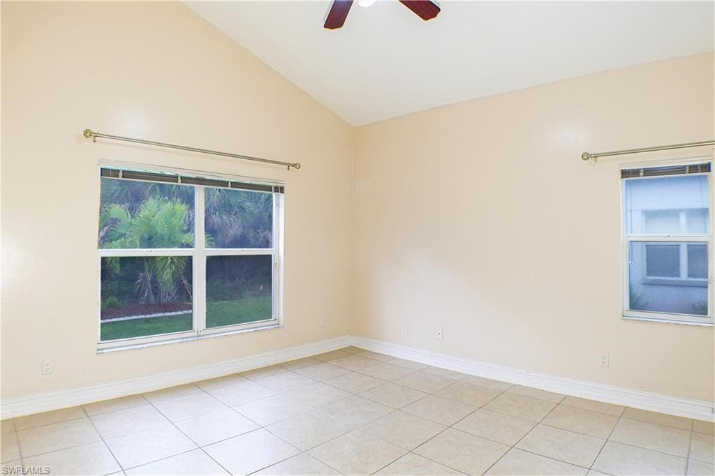 160 lady palm DR-13
