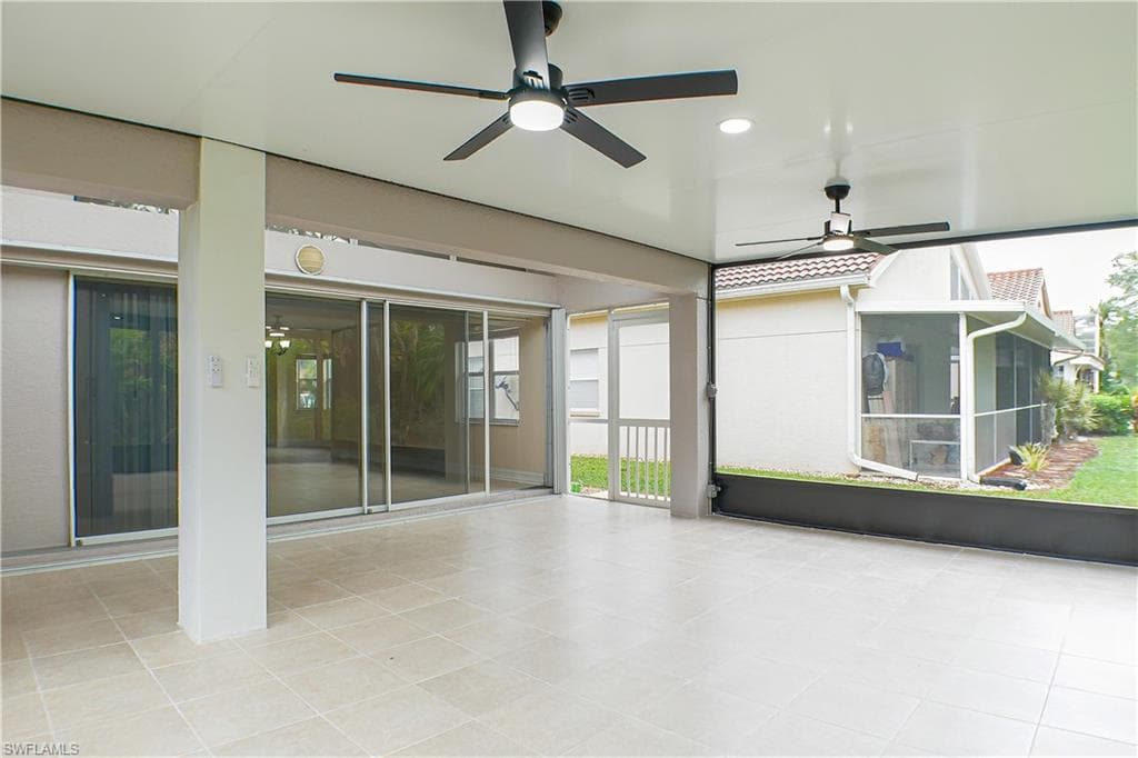 160 lady palm DR-17