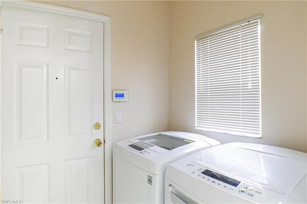160 lady palm DR-10