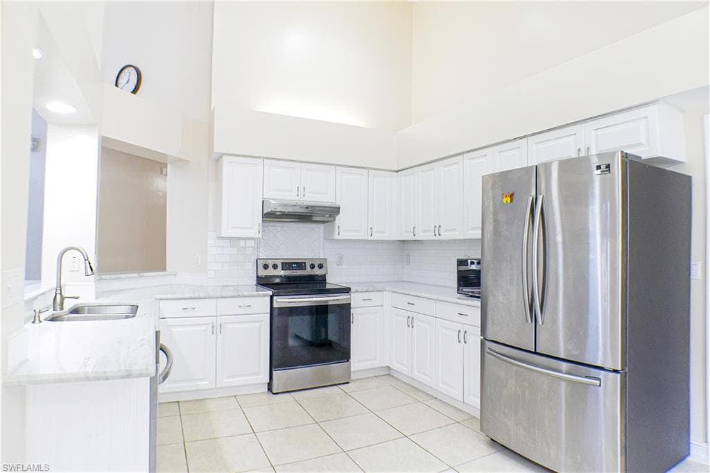 160 lady palm DR-3