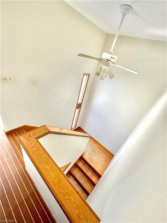 416 Bristle Cone LN 9-32