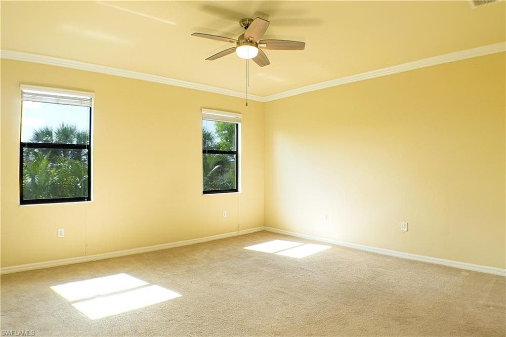 14688 summer rose WAY-12