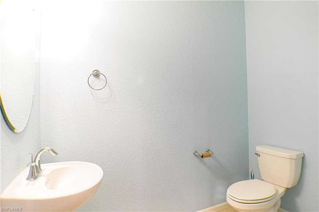 14688 summer rose WAY-9