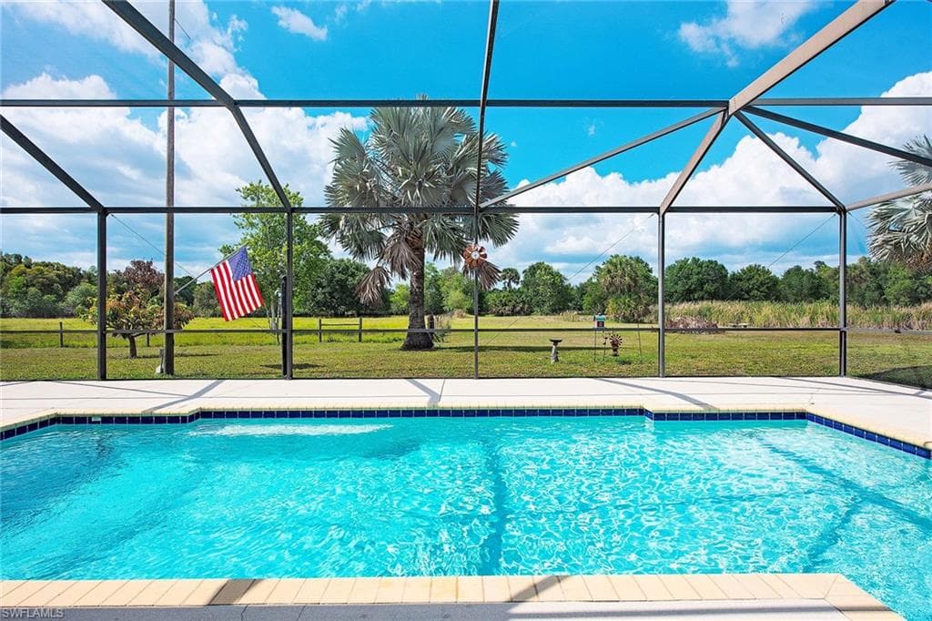 581 Wild Turkey DR-1