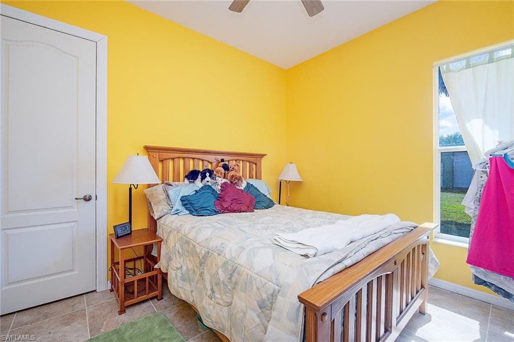 581 Wild Turkey DR-6