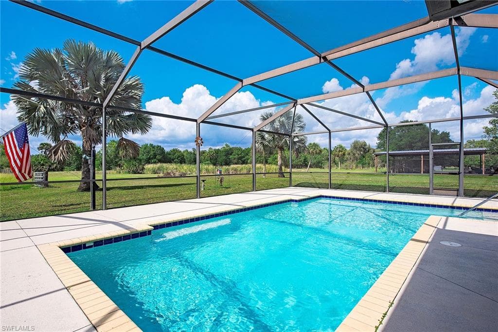 581 Wild Turkey DR-2