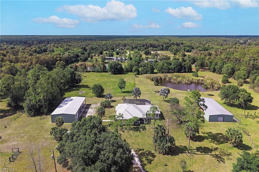 581 Wild Turkey DR-8