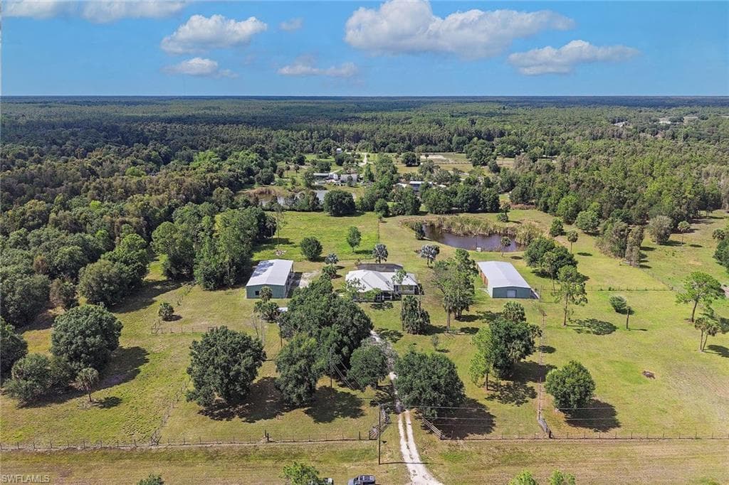 581 Wild Turkey DR-9
