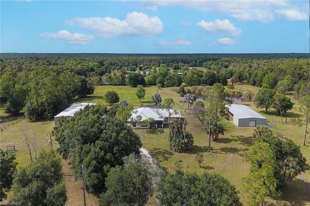 581 Wild Turkey DR-10
