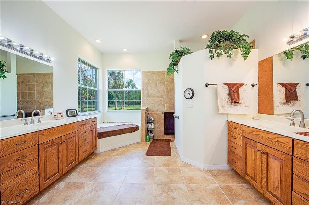 581 Wild Turkey DR-7