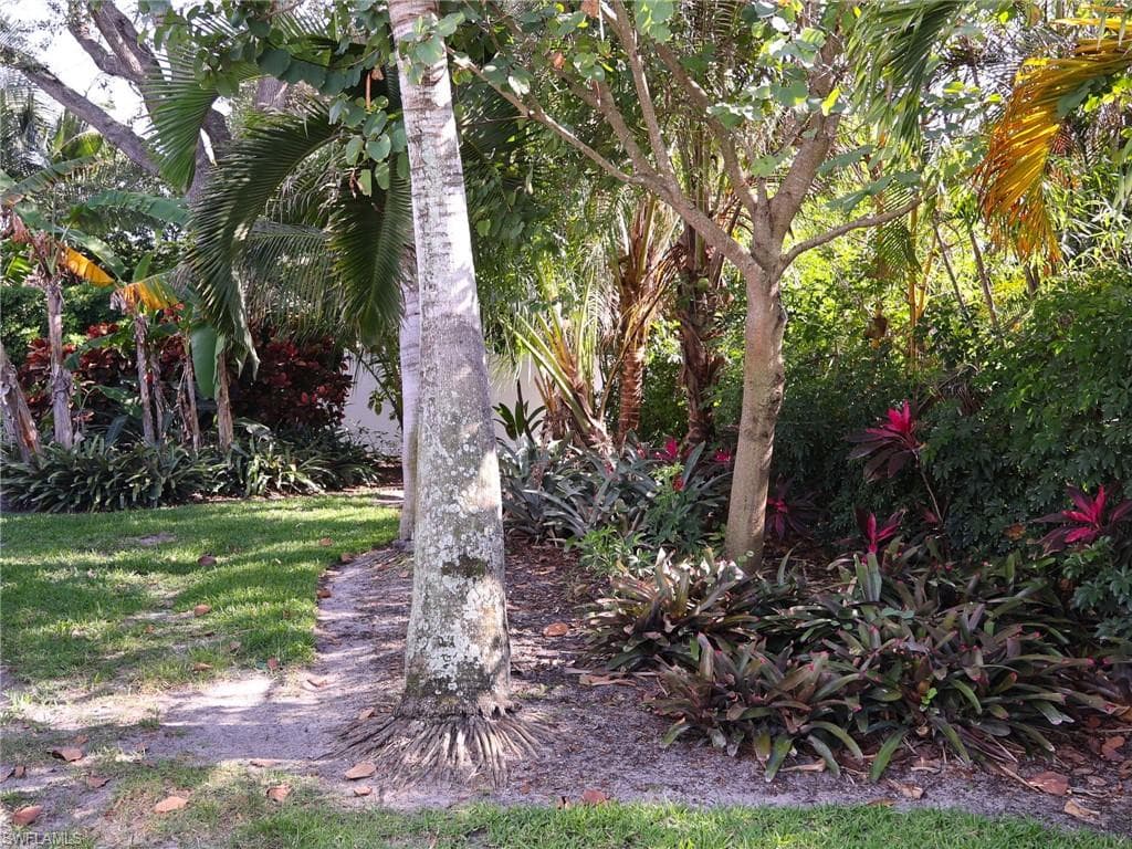2554 Outrigger LN-31