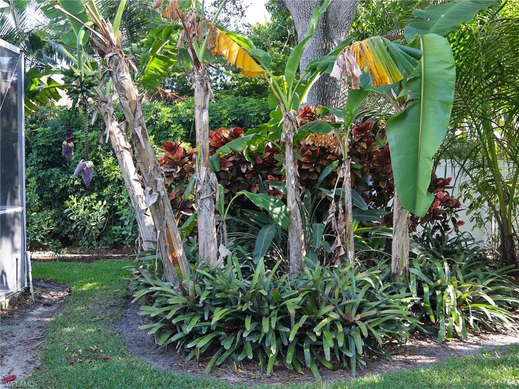 2554 Outrigger LN-32