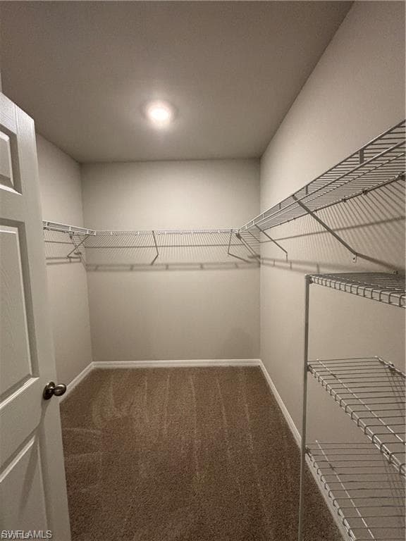 20461 Camino Torcido LOOP-14