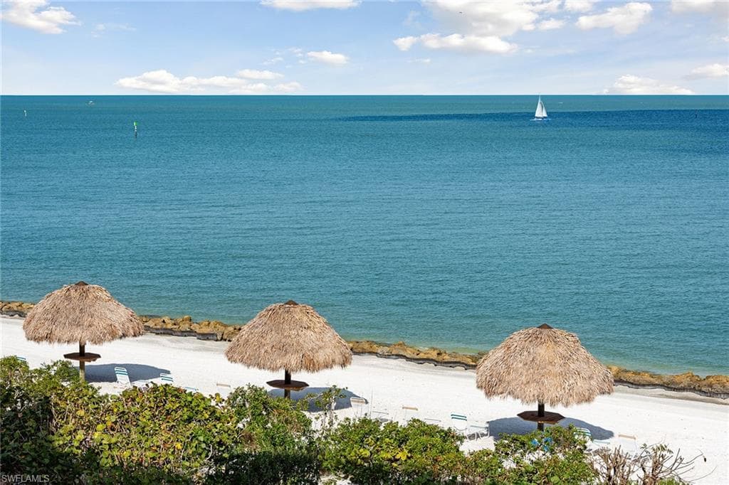 375 Gumbo Limbo LN-46