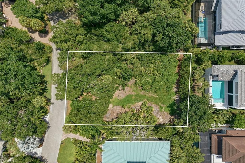 375 Gumbo Limbo LN-15