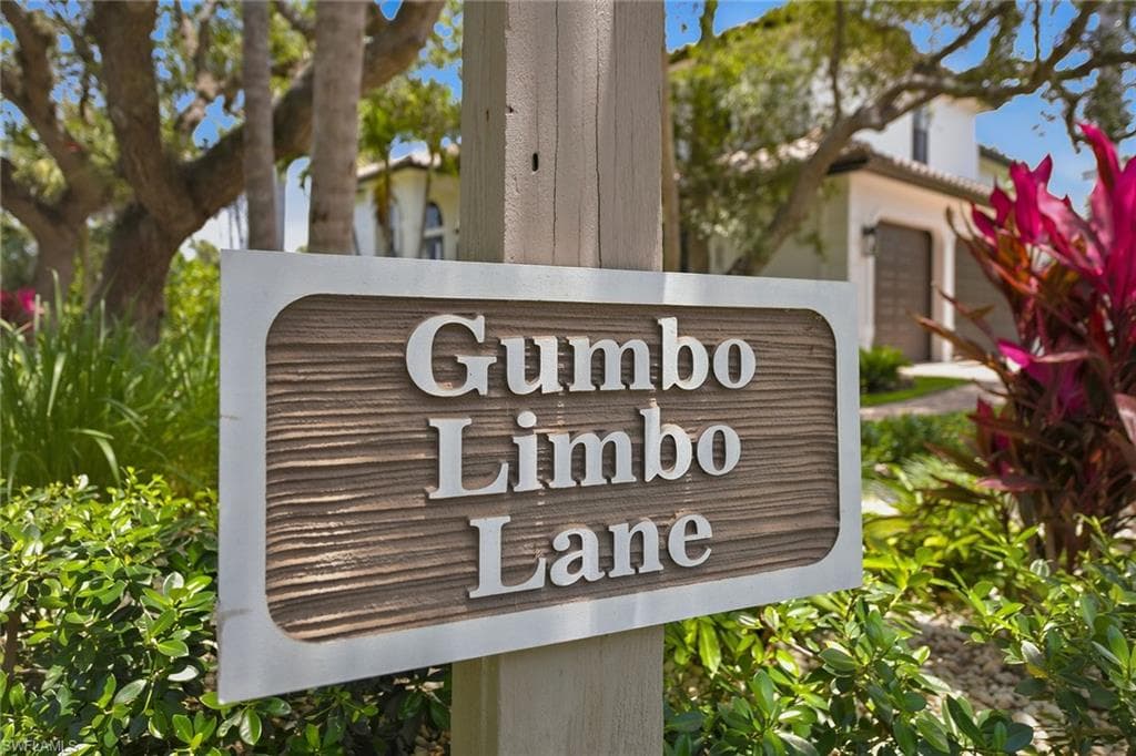 375 Gumbo Limbo LN-25