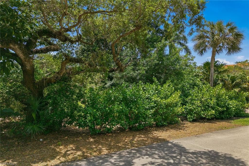 375 Gumbo Limbo LN-23