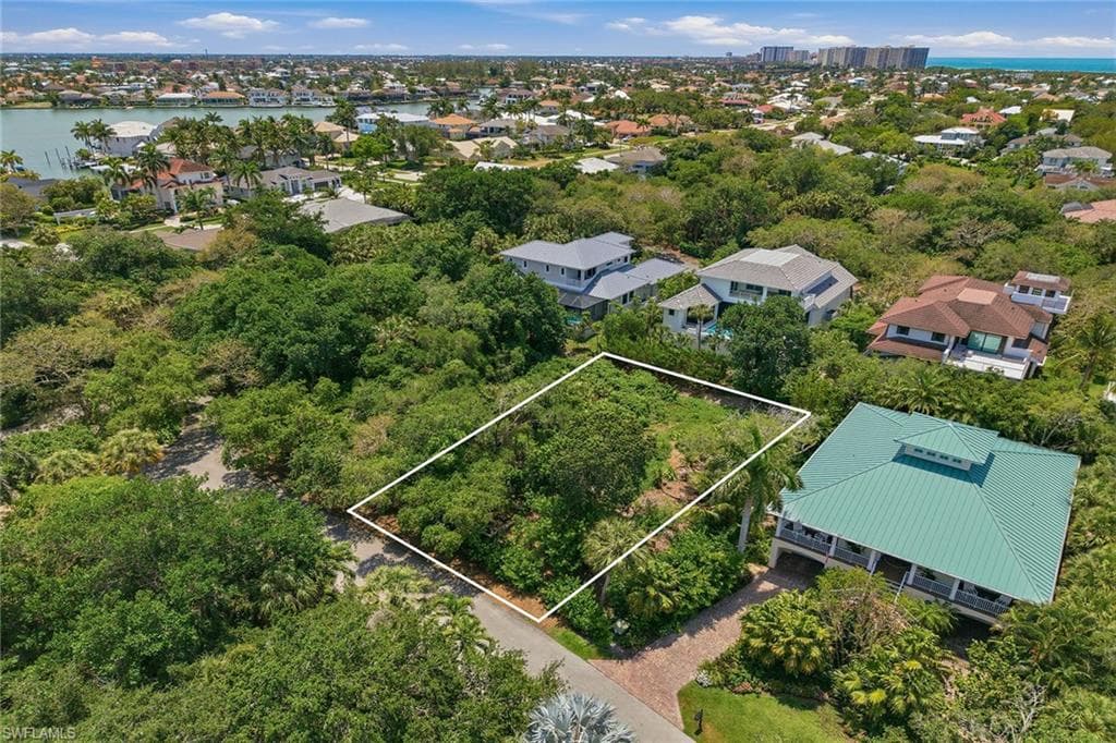 375 Gumbo Limbo LN-10