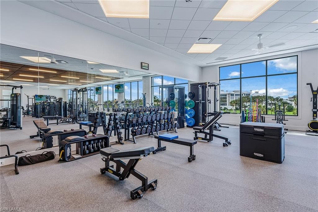 375 Gumbo Limbo LN-38