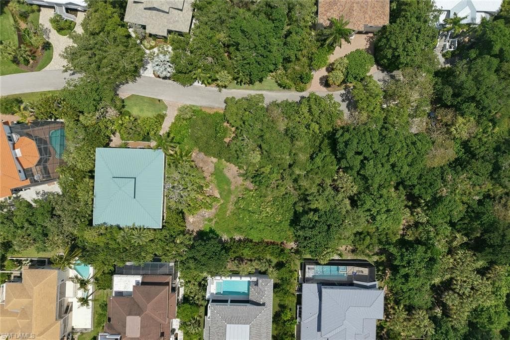 375 Gumbo Limbo LN-7