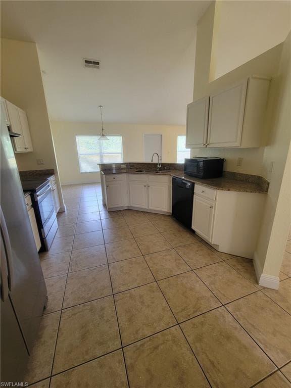 8071 Liriope LOOP-2