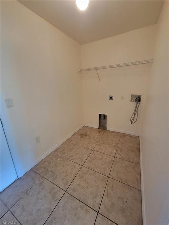 8071 Liriope LOOP-4