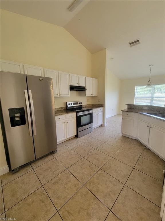 8071 Liriope LOOP-3