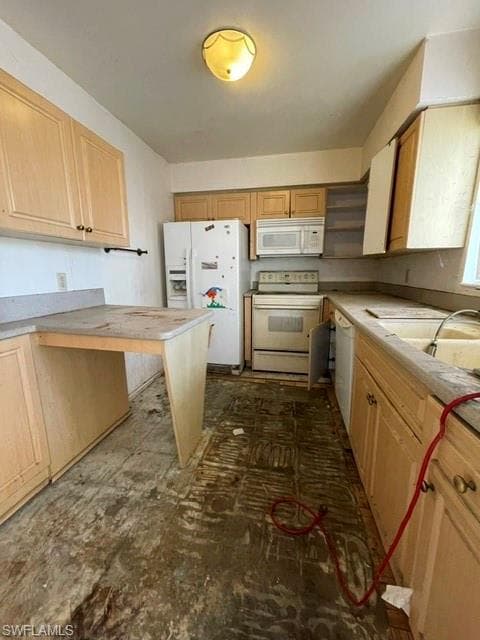 8381 Antigua CT-6