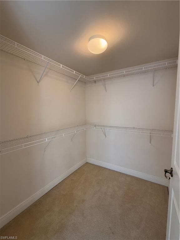 3969 Pomodoro CIR 203-8