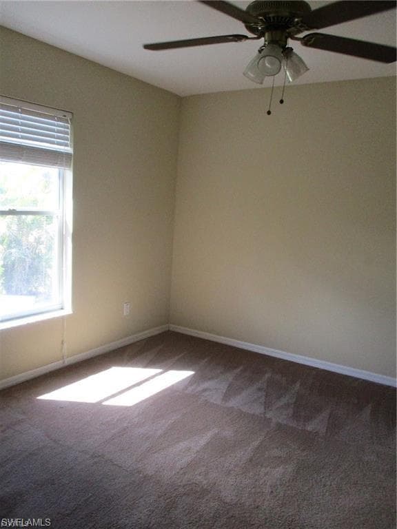 228 Ambury ST-6