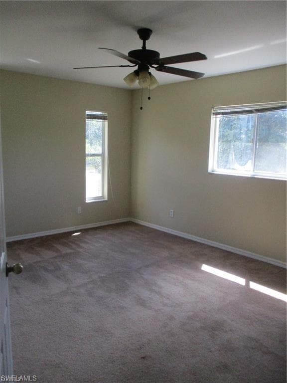 228 Ambury ST-8
