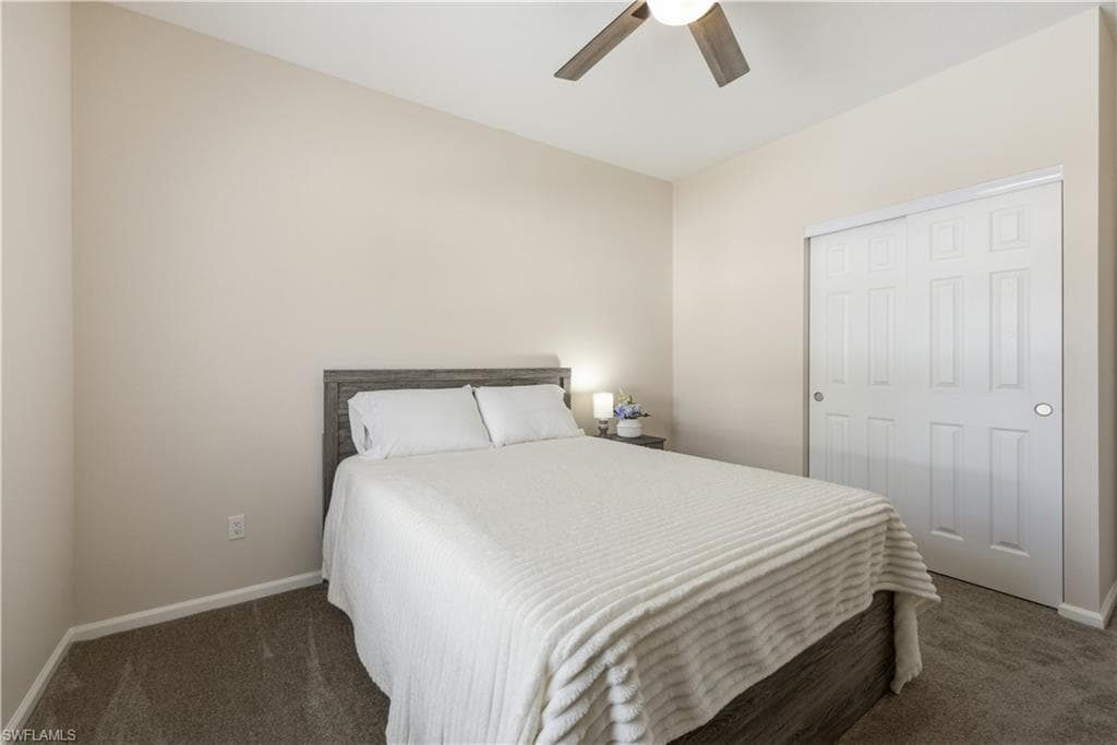24 Red Poinciana DR-22