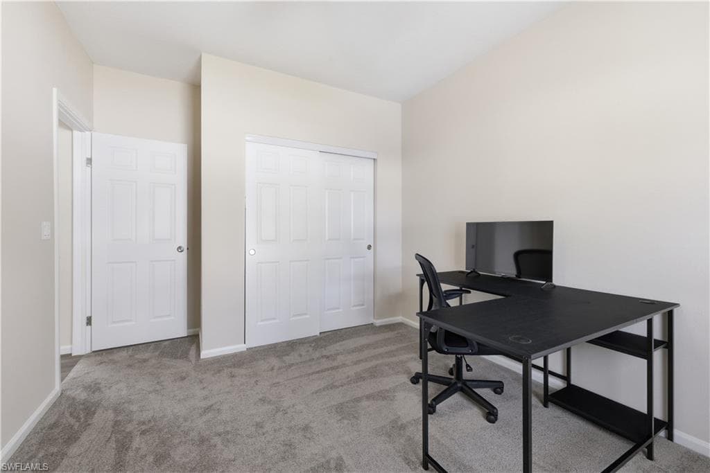 24 Red Poinciana DR-26