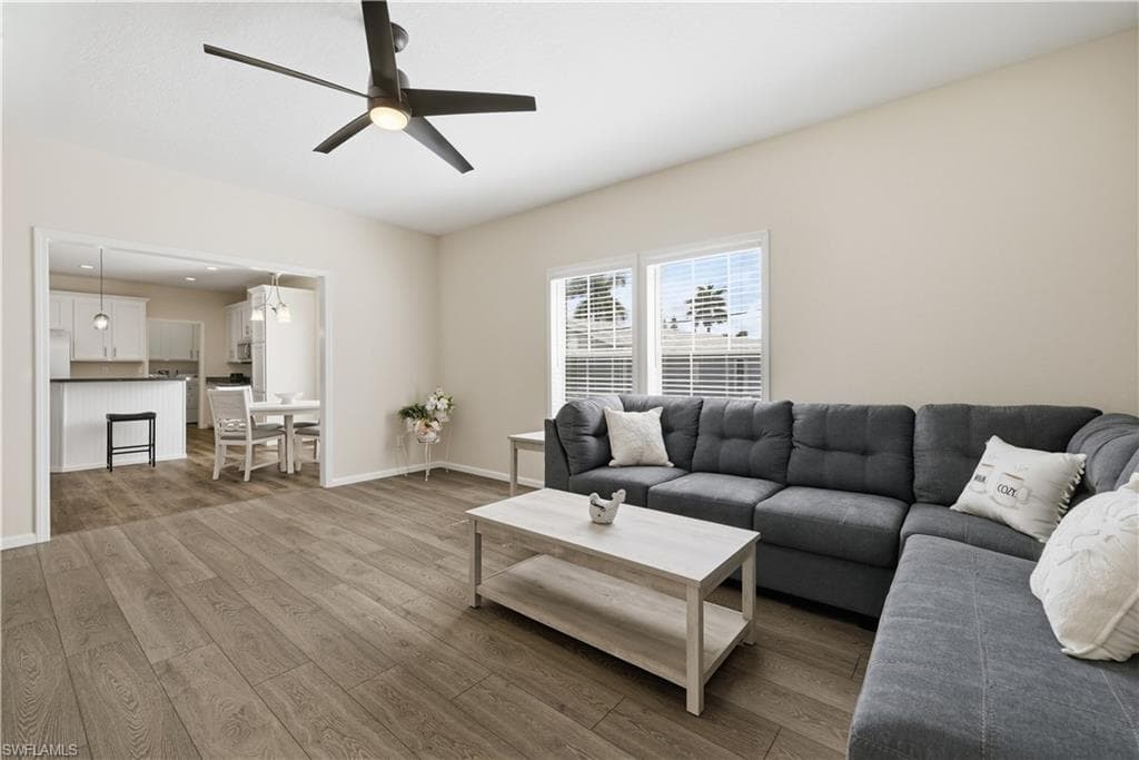 24 Red Poinciana DR-5