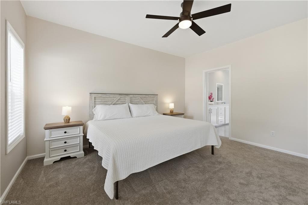 24 Red Poinciana DR-16