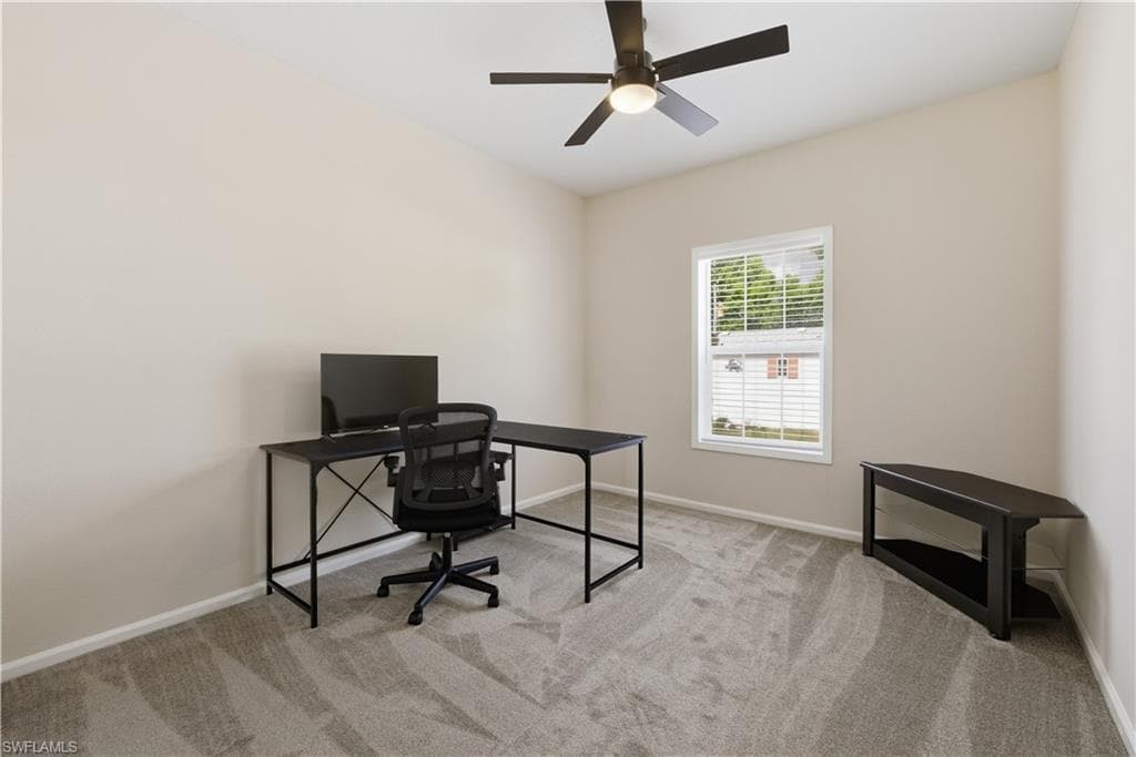 24 Red Poinciana DR-25