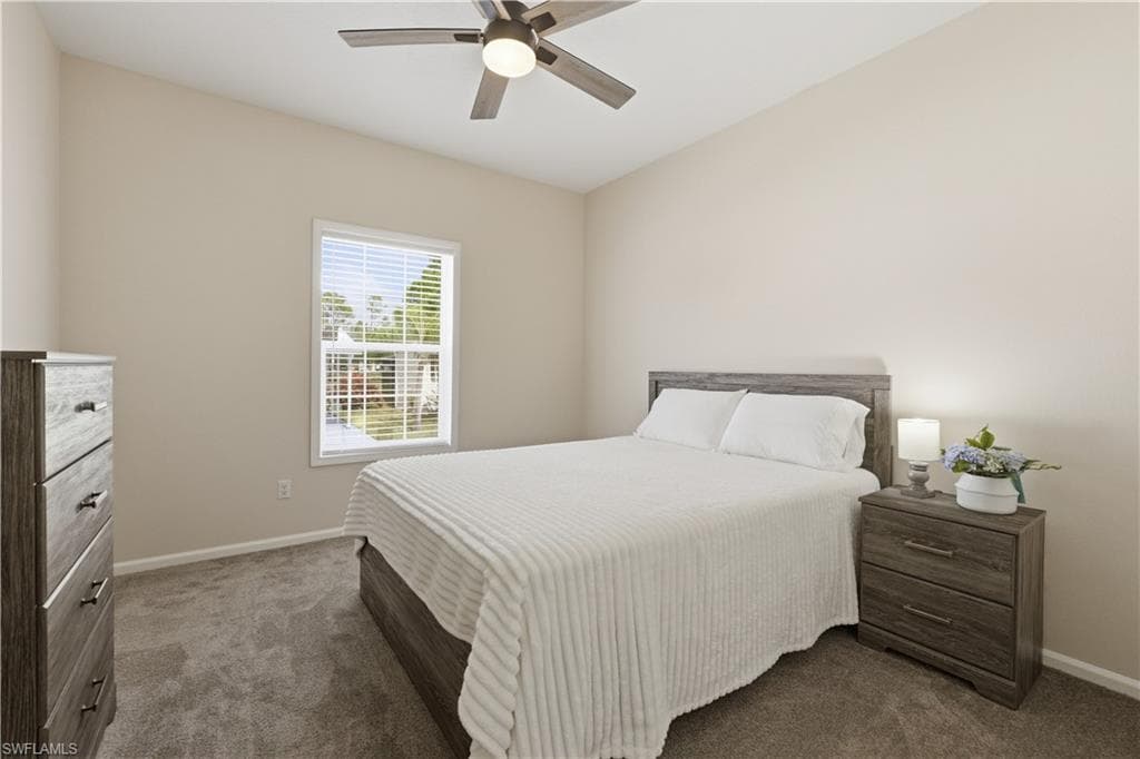 24 Red Poinciana DR-21