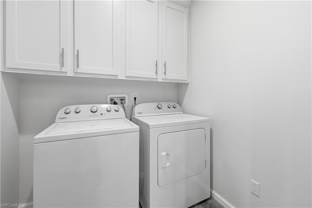 24 Red Poinciana DR-27