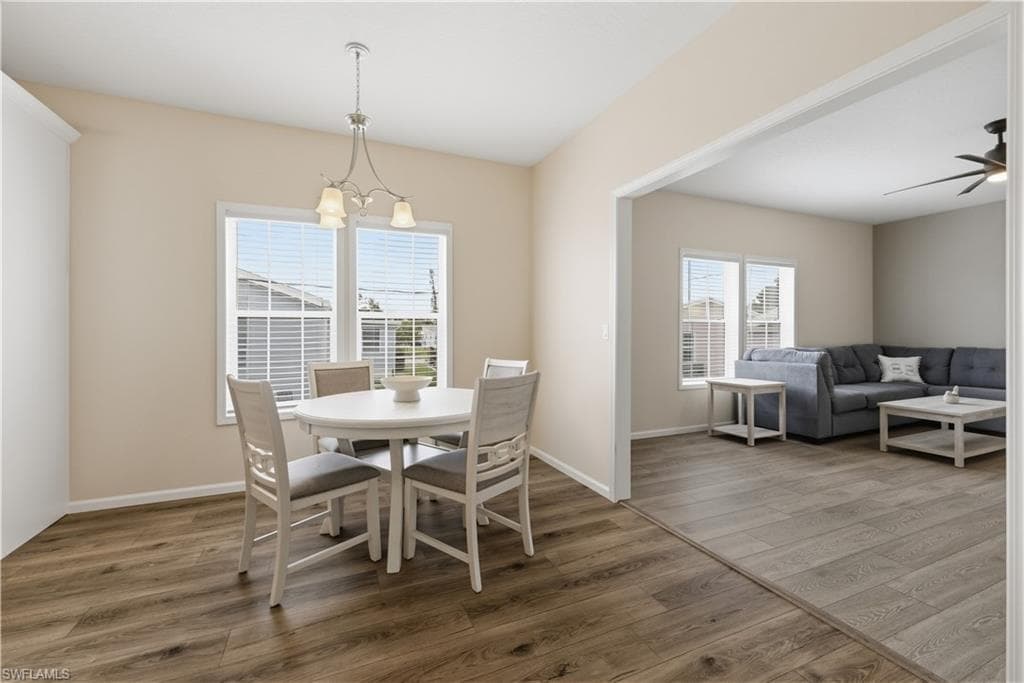 24 Red Poinciana DR-9
