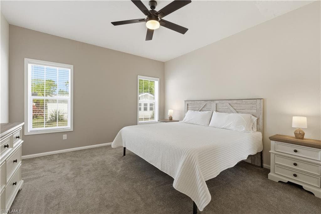 24 Red Poinciana DR-14
