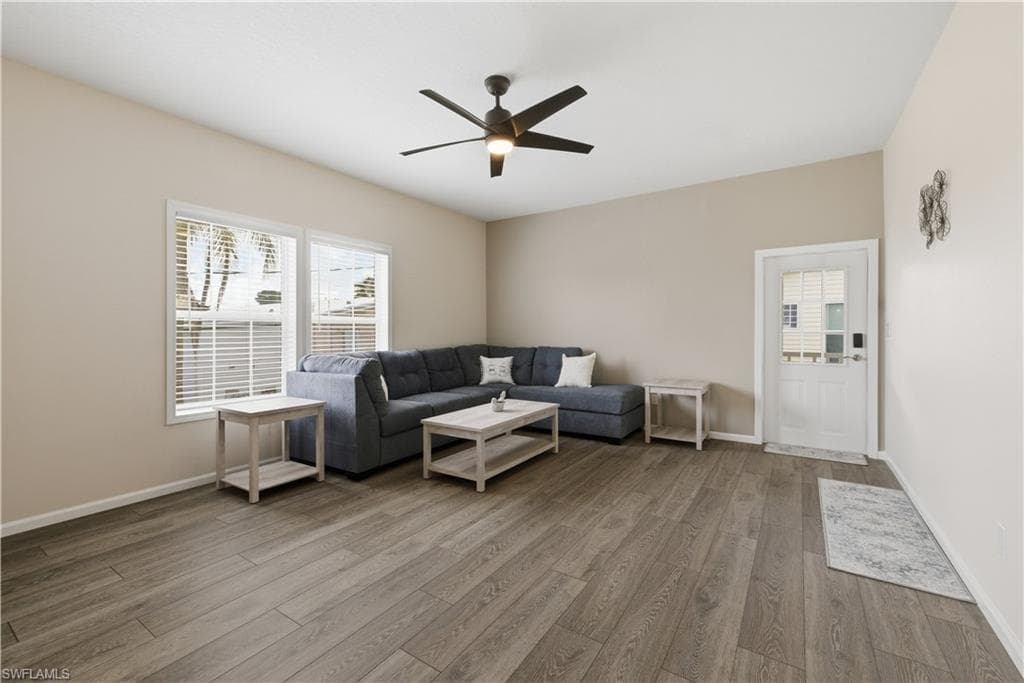 24 Red Poinciana DR-3