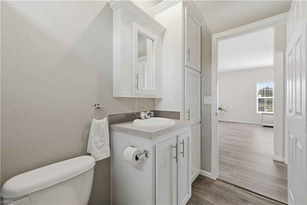 24 Red Poinciana DR-24