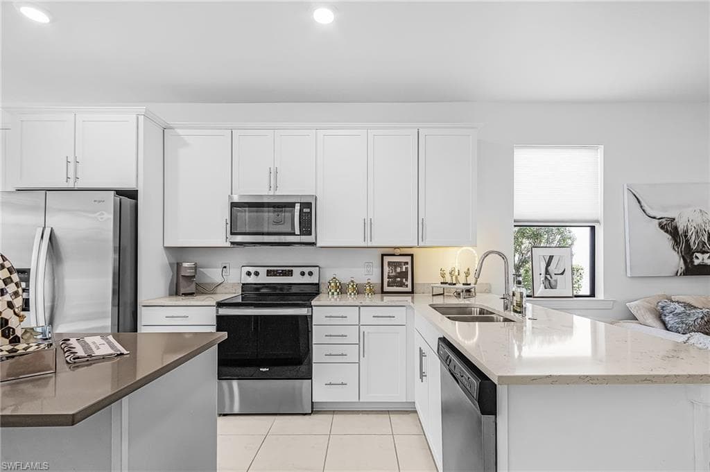 3990 Spotted Eagle WAY-9