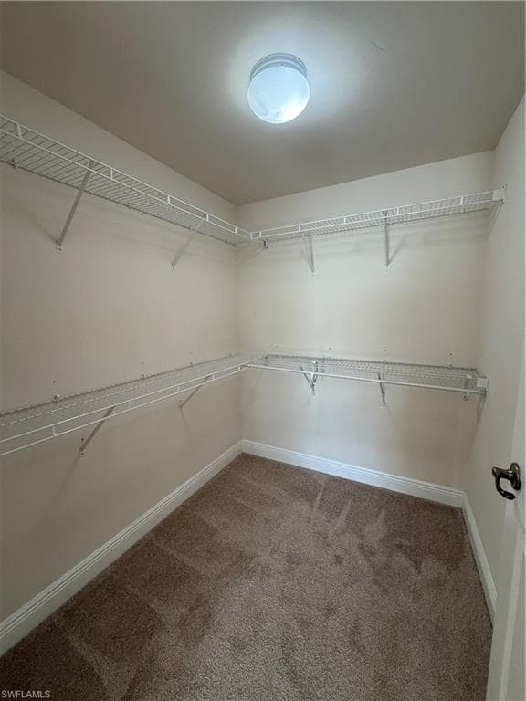 3973 Pomodoro CIR 303-5