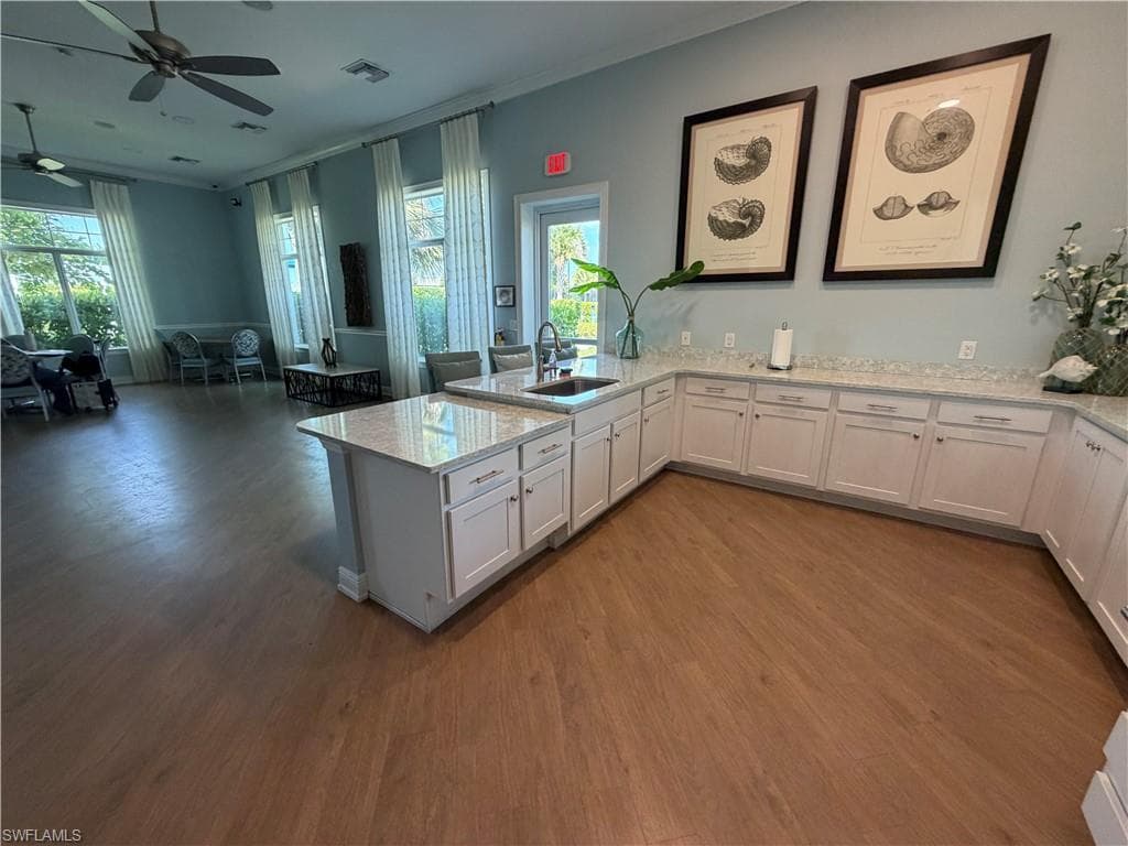3115 Amadora CIR-23