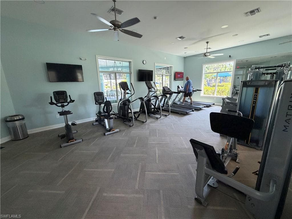 3115 Amadora CIR-29
