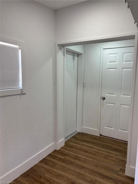 555 Palomino ST-12