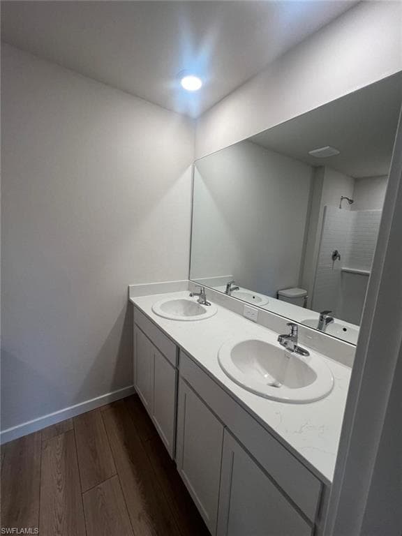 532 Ilaria CT-2