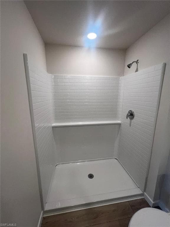 532 Ilaria CT-3